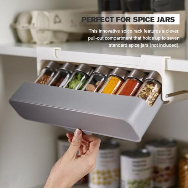 Under-Shelf Organizer
